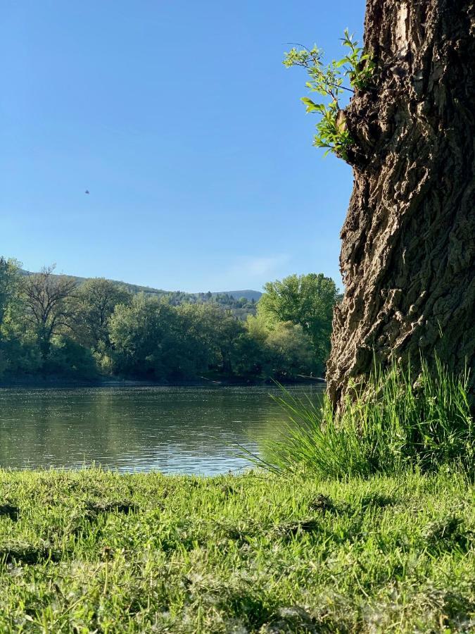 Nadi's - Heart Of Woods, Szentendre Island *